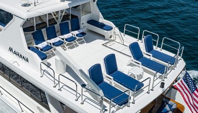MAHANA For Sale image16