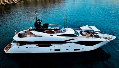 Survivor 2 For Sale image1