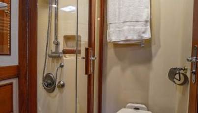 THE GARLIC For Sale image35