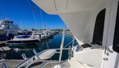 ON ICE For Sale image21