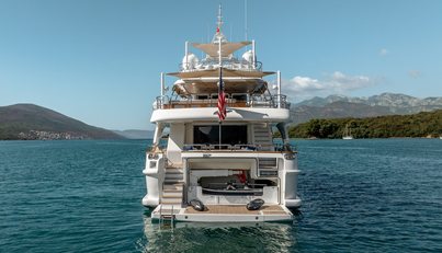 ARTEMIS For Sale image42
