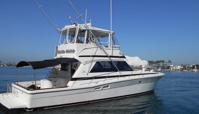 Yacht Z For Sale image16