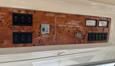 Osprey For Sale image18
