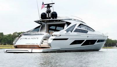 STALLION For Sale image9