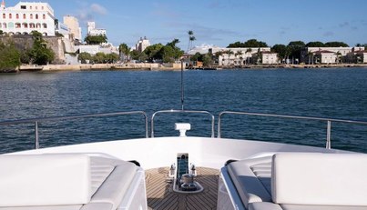 Chinonino For Sale image23