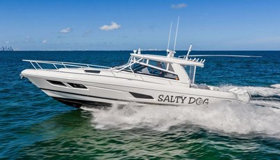 Salty Dog For Sale image4