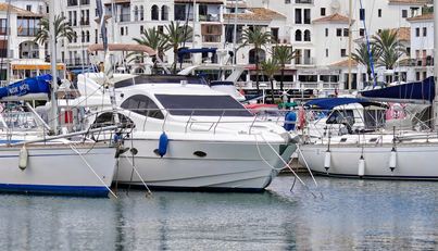 noname For Sale image25