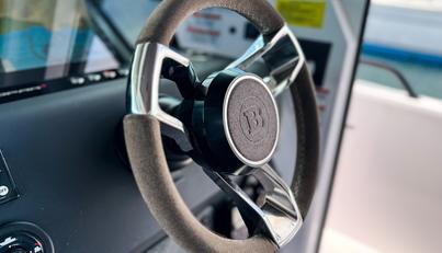 DYLIS For Sale image17