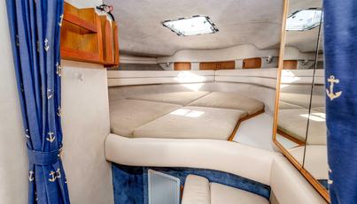 Sea Oddity For Sale image22