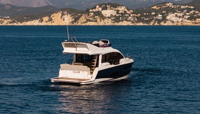 SEALINE For Sale image9