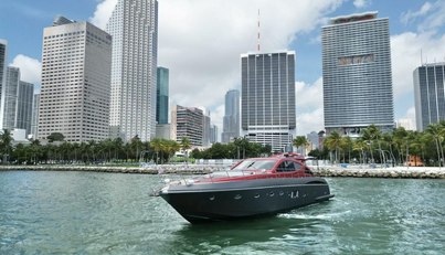 Notorius For Sale image6