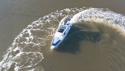 HAYLU For Sale image8