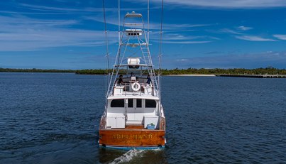 ABLE HAND For Sale image5