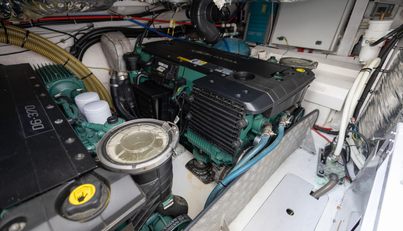 Lady IXNA For Sale image33