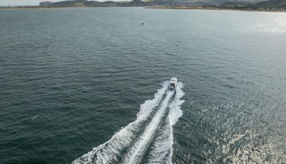 noname For Sale image174