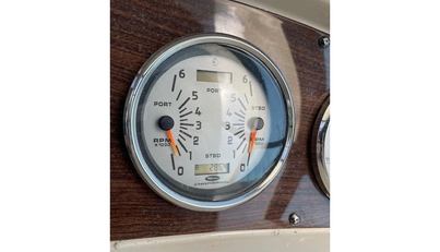 SeaHorse For Sale image9