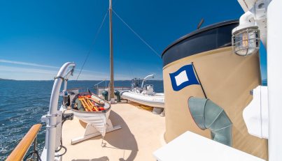 Blue Peter  For Sale image31