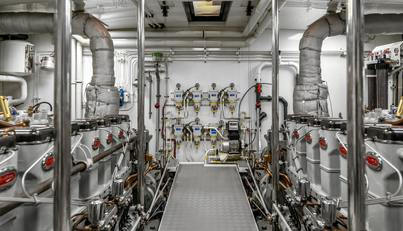 SULTANA For Sale image38