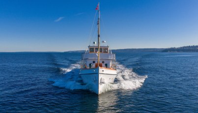 Blue Peter  For Sale image9
