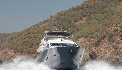 SPACE ODDITY For Sale image2