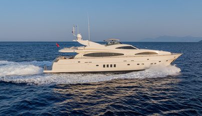 LIMION For Sale image1