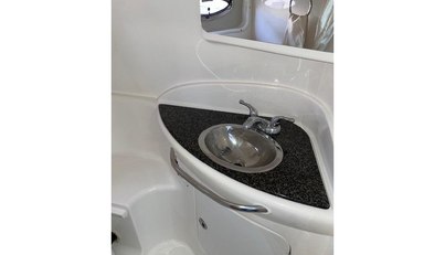 SeaHorse For Sale image22