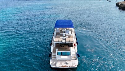 noname For Sale image16