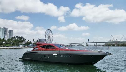 Notorius For Sale image2