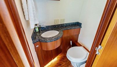 FIRTH'S CHASM For Sale image623