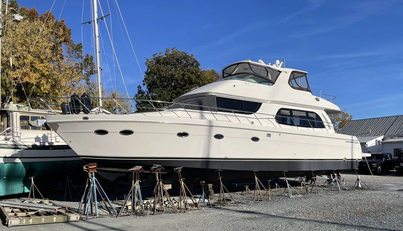 PISCO SOUR For Sale image8