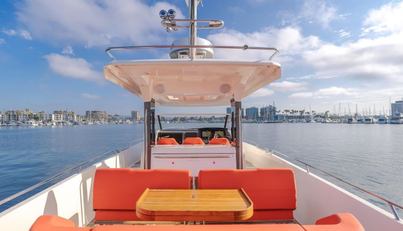 Intrepid For Sale image39