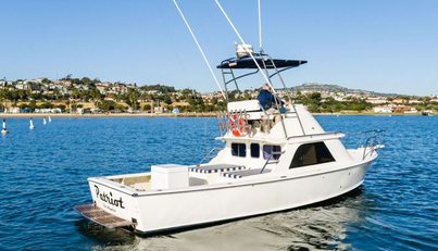 Patriot For Sale image4