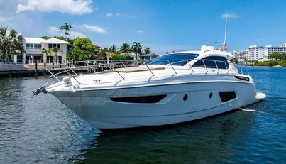 Endurance For Sale image19