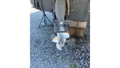 SeaHorse For Sale image40