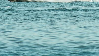 Seven Seas Yachts Venus Speedster X 32ft For Sale image16