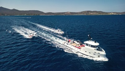 SHADOW For Sale image26