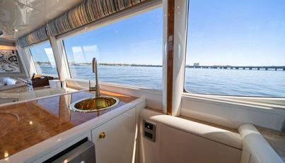 Octopi For Sale image63