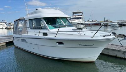 noname For Sale image1