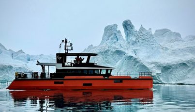 VANGUARD For Sale image1