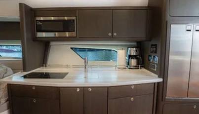 GARBONZO For Sale image15