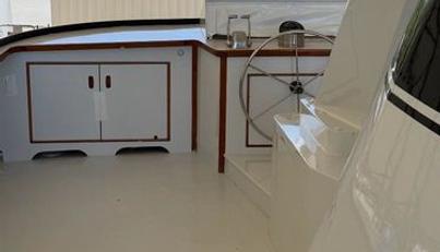 Orion For Sale image11