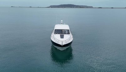 noname For Sale image54