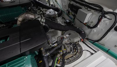 Pristine Princess For Sale image48