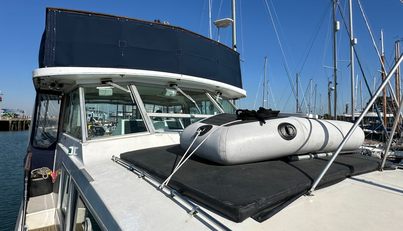 Sea Wolf For Sale image75