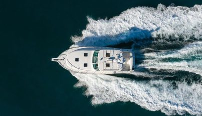 Bluefin For Sale image15