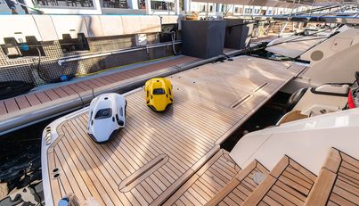 FAMILY SPIRIT For Sale image25