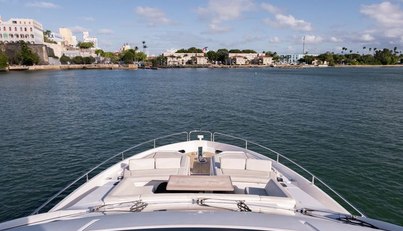 Chinonino For Sale image19