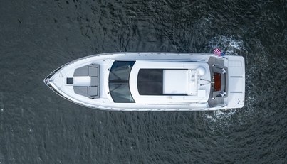 Tropical Dreamer For Sale image17