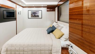 PAPILLON For Sale image12