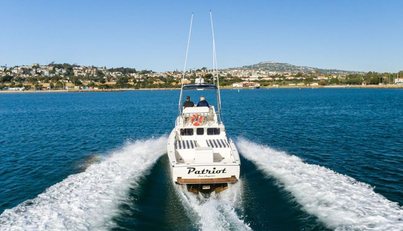 Patriot For Sale image26